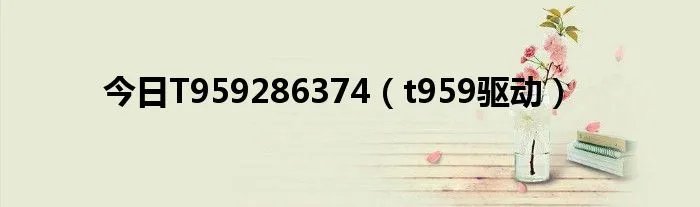 今日T959286374（t959驱动）
