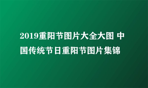 2019重阳节图片大全大图 中国传统节日重阳节图片集锦