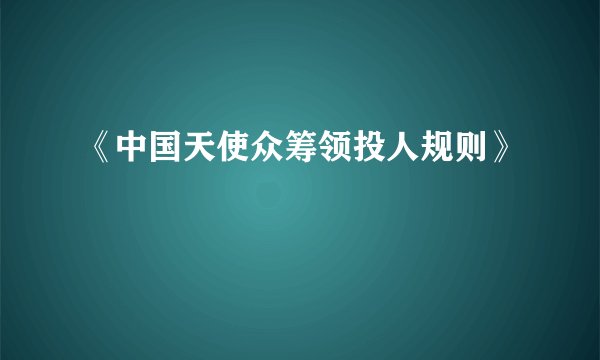 《中国天使众筹领投人规则》