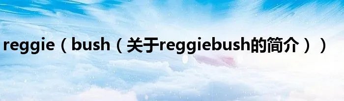 reggie（bush（关于reggiebush的简介））
