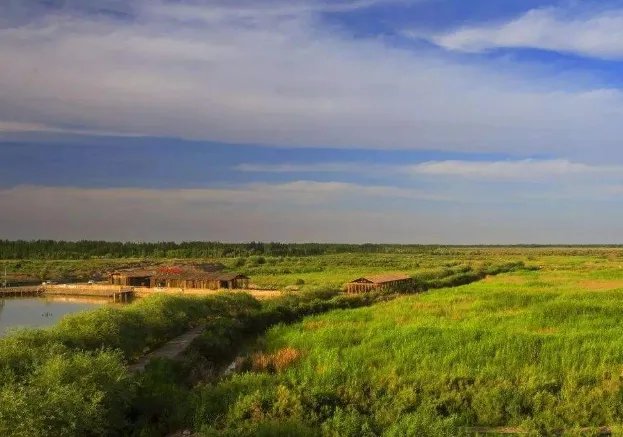 马云捐款1亿保护湿地，湿地的保护措施有哪些?