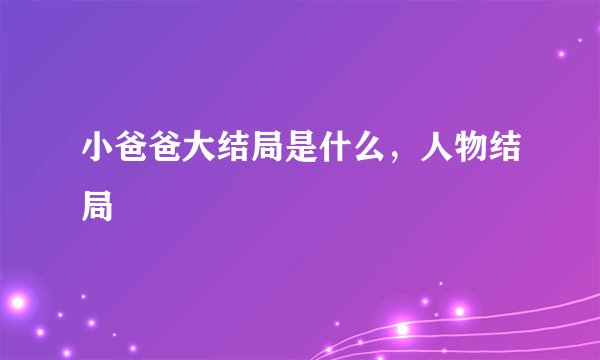 小爸爸大结局是什么，人物结局