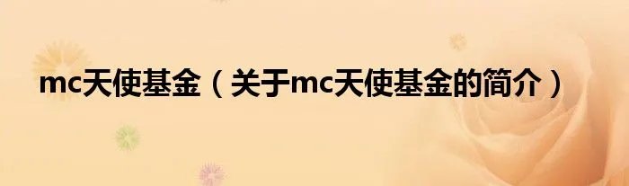 mc天使基金（关于mc天使基金的简介）