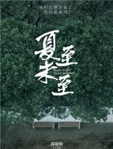 夏至未至什么时候开播？一天播多少集？一共多少集？