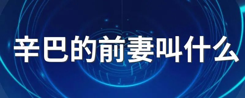 辛巴的前妻叫什么 辛巴介绍