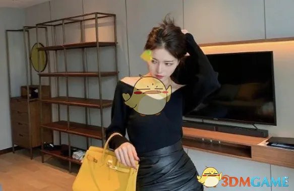 65页ppt是什么梗