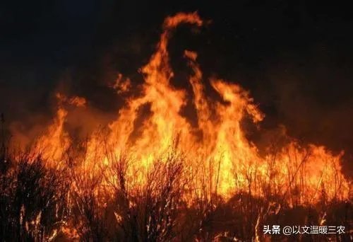 西昌山火为什么会死这么多人?