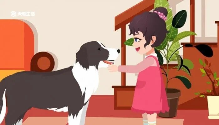 狗狗打架时为何是上嘴咬不是上手挠,狗狗打架怎么制止