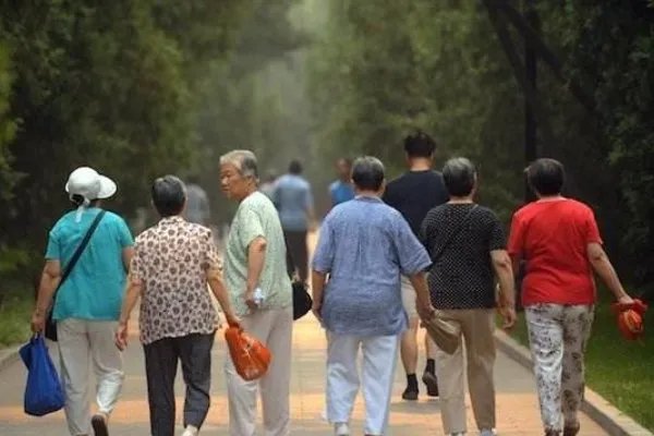 民政部预测我国将迈入中度老龄化，会给我国造成什么影响？