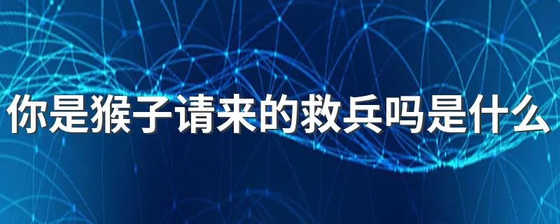你是猴子请来的救兵吗是什么意思 你是猴子请来的救兵吗的意思