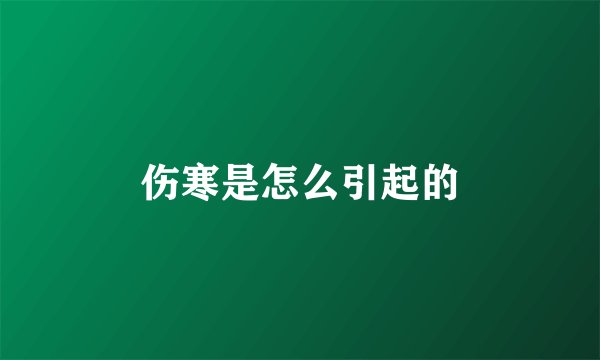 伤寒是怎么引起的