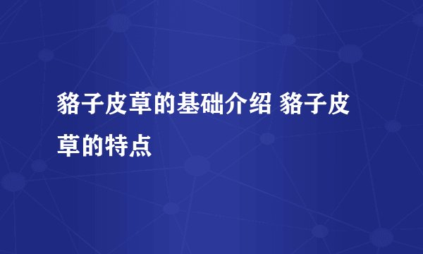 貉子皮草的基础介绍 貉子皮草的特点