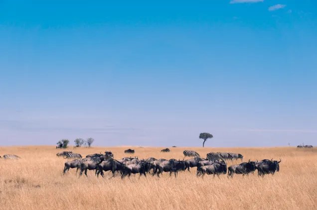2011是什么年 2011年是21世纪什么年代