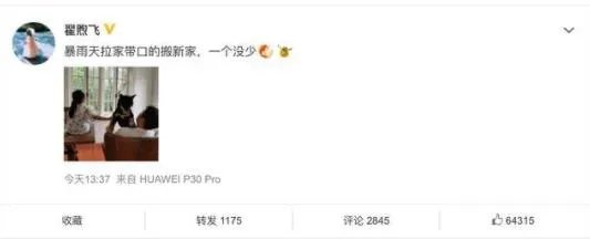 雷佳音罕见夫妇同框 力破童谣秒删传闻