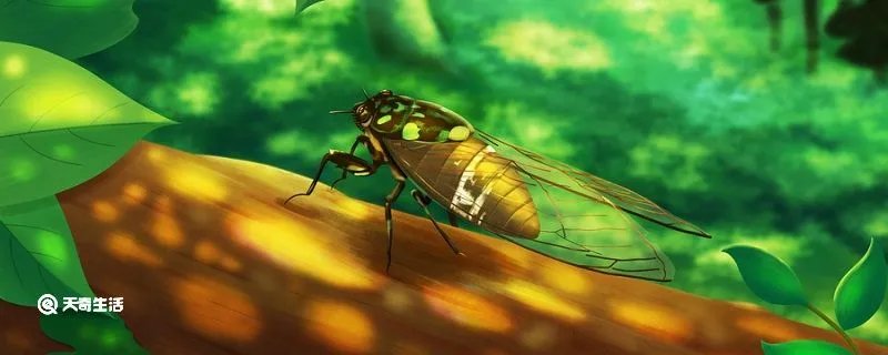 居高声自远非是藉秋风表达了作者怎样的感情