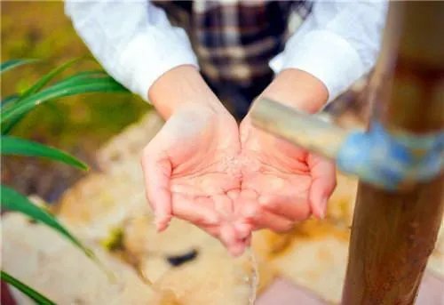 君心何时归慕容离凤倾华 君心何时归全文免费阅读