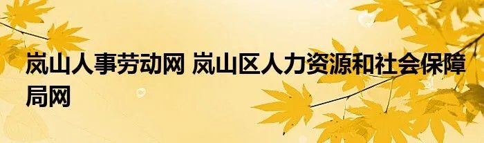 岚山人事劳动网 岚山区人力资源和社会保障局网