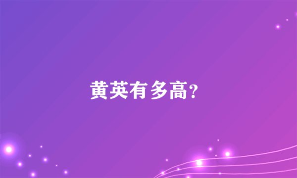 黄英有多高？