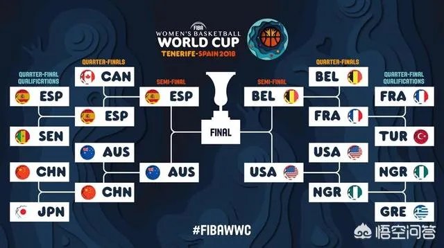 比利时女篮有多强