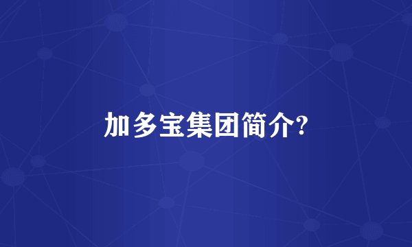 加多宝集团简介?