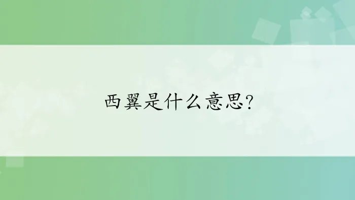 西翼是什么意思？