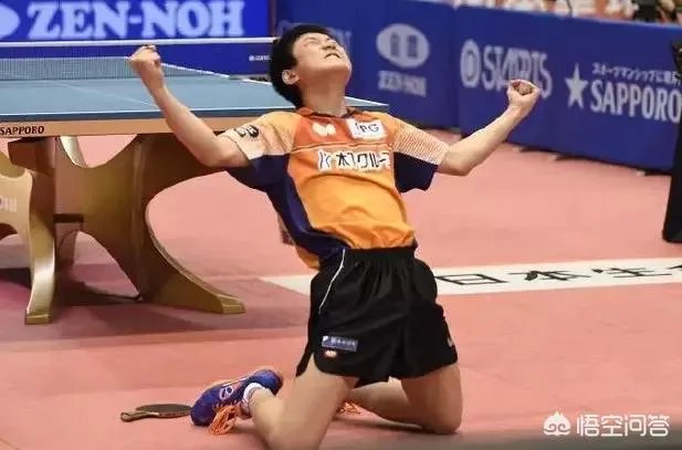 樊振东输张本智和