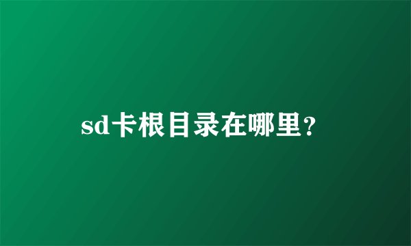sd卡根目录在哪里？