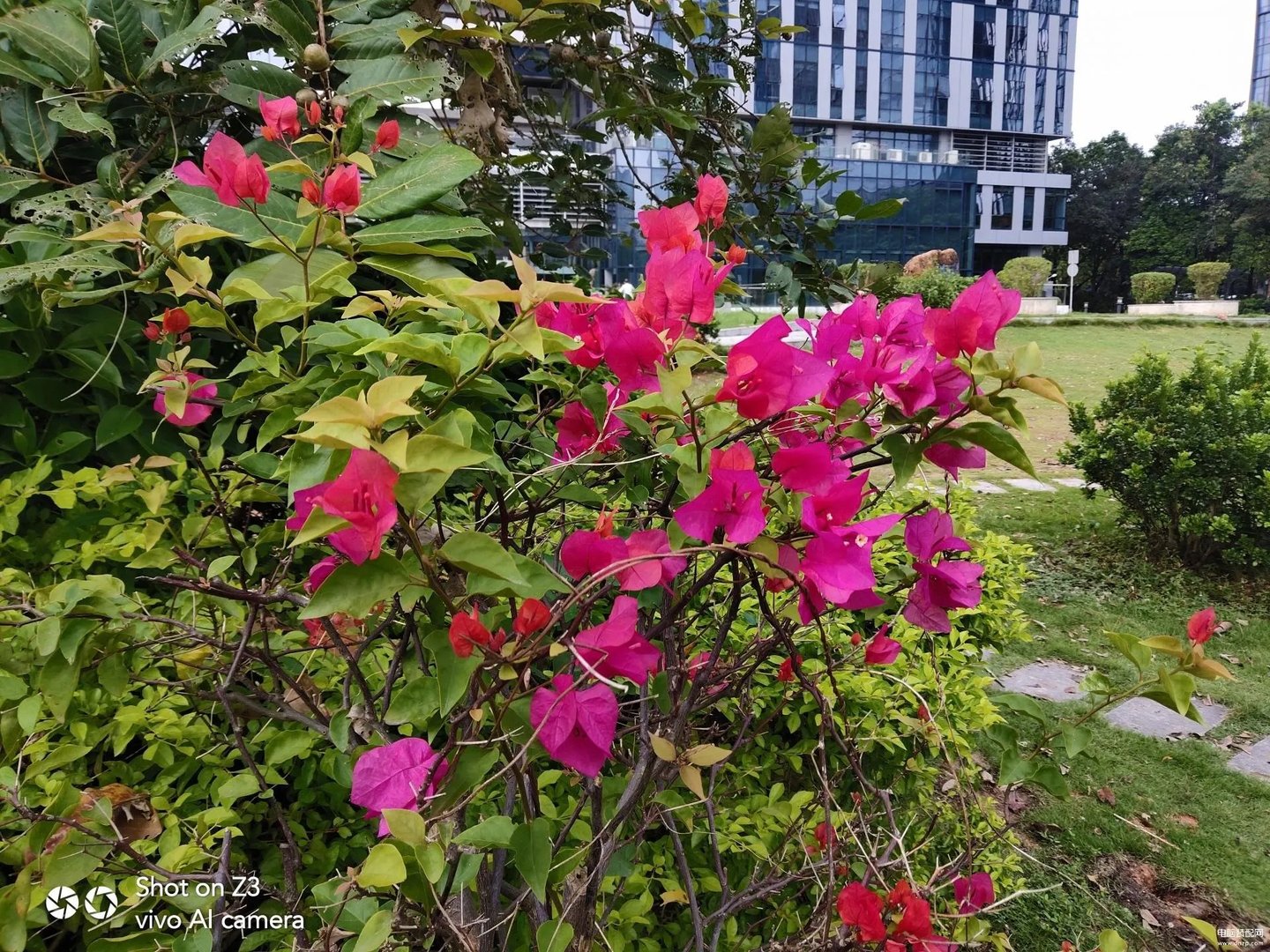 vivo 新机z3参数（vivo Z3详细评测）