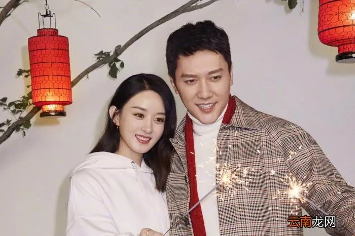 赵丽颖的职业经历，赵丽颖的人生