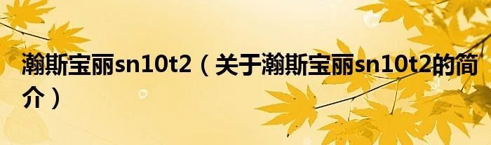瀚斯宝丽sn10t2(关于瀚斯宝丽sn10t2的简介)