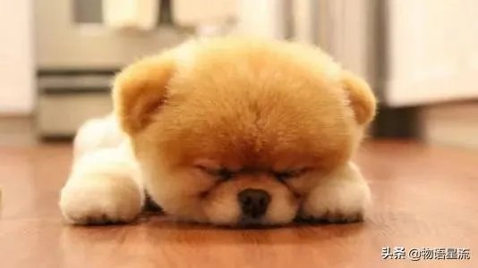 5岁的女儿不爱睡午觉怎么办？