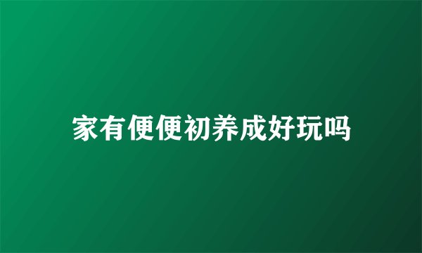 家有便便初养成好玩吗