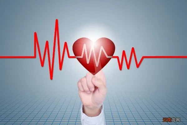 健康档案怎么建立