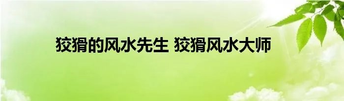 狡猾的风水先生 狡猾风水大师