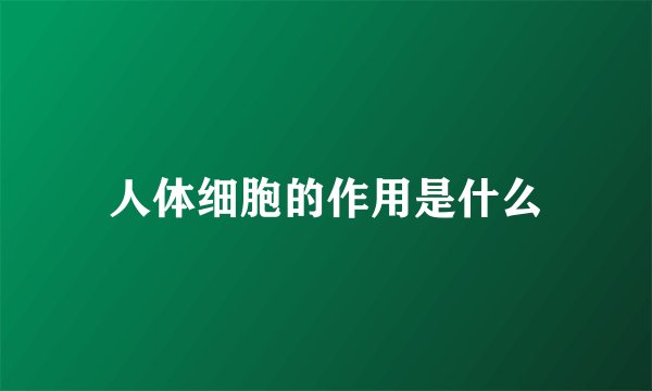 人体细胞的作用是什么
