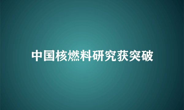 中国核燃料研究获突破
