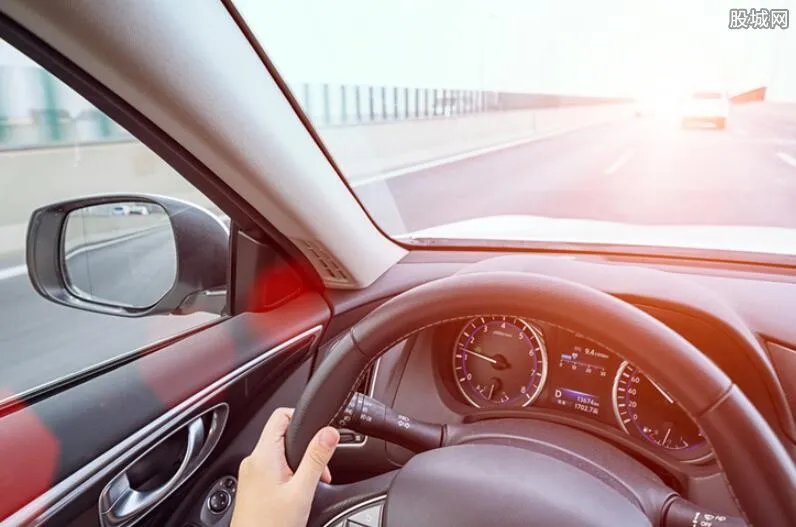 金毛被养在车里 被怀疑用二十多万商务车虐狗