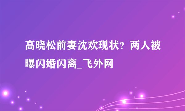 高晓松前妻沈欢现状?两人被曝闪婚闪离_飞外网