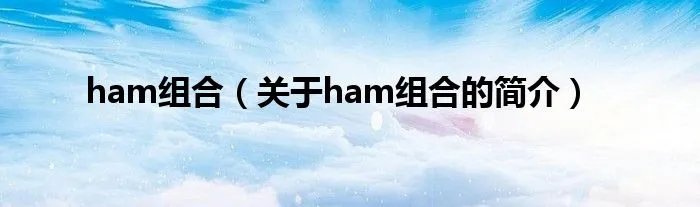 ham组合（关于ham组合的简介）