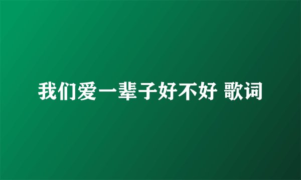我们爱一辈子好不好 歌词
