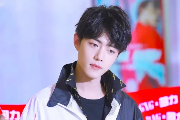 跨年演唱会三台都在抢肖战，你认为肖战会去哪家电视台？