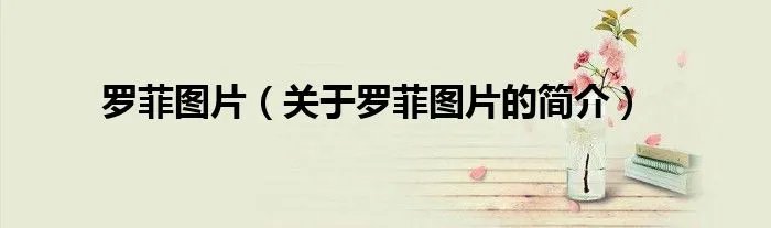 罗菲图片（关于罗菲图片的简介）