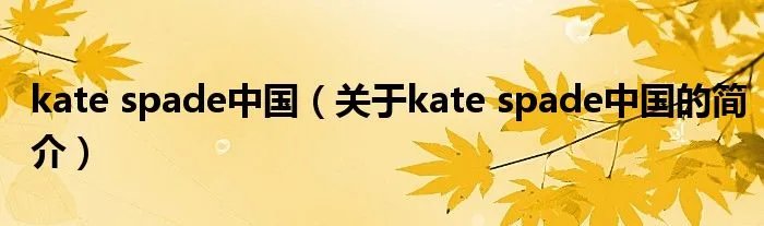 kate spade中国（关于kate spade中国的简介）