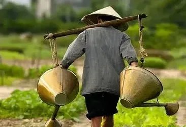 中央向实际种粮农民发100亿元补贴，这有哪些实际意义？