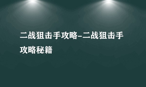 二战狙击手攻略-二战狙击手攻略秘籍