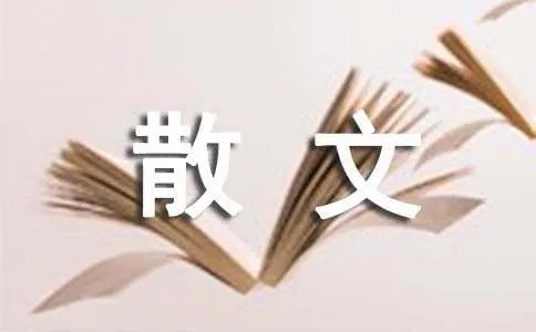 待我长发盘起散文