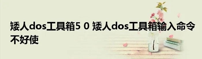 矮人dos工具箱5 0 矮人dos工具箱输入命令不好使