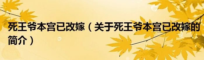 死王爷本宫已改嫁（关于死王爷本宫已改嫁的简介）