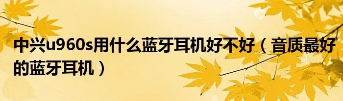 中兴u960s用什么蓝牙耳机好不好（音质最好的蓝牙耳机）