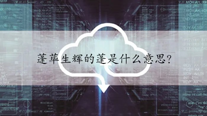 蓬荜生辉的蓬是什么意思？